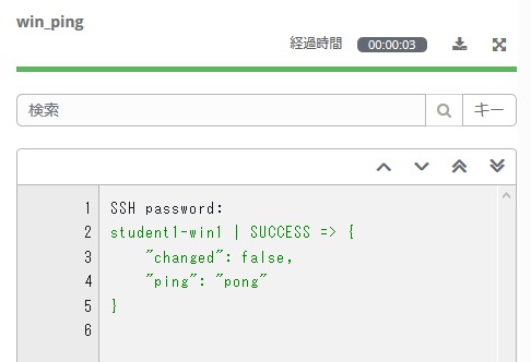 Win_Ping Log Details