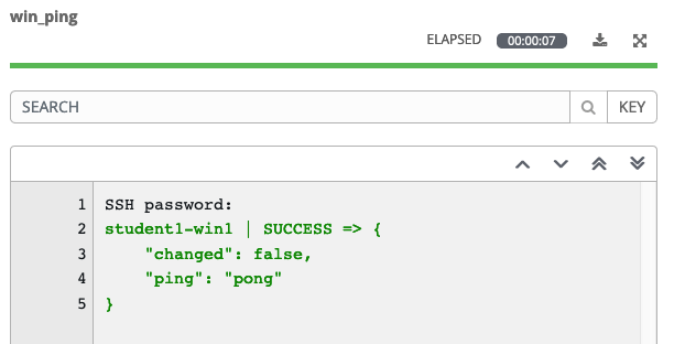 Win_Ping Log Details