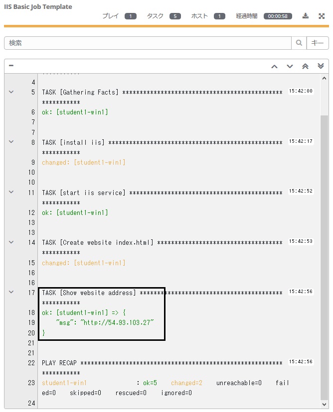 Play and Task Output