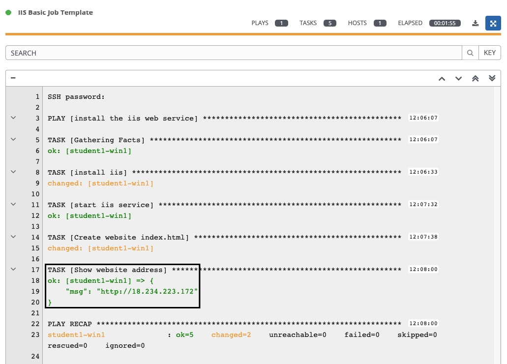 Play and Task Output